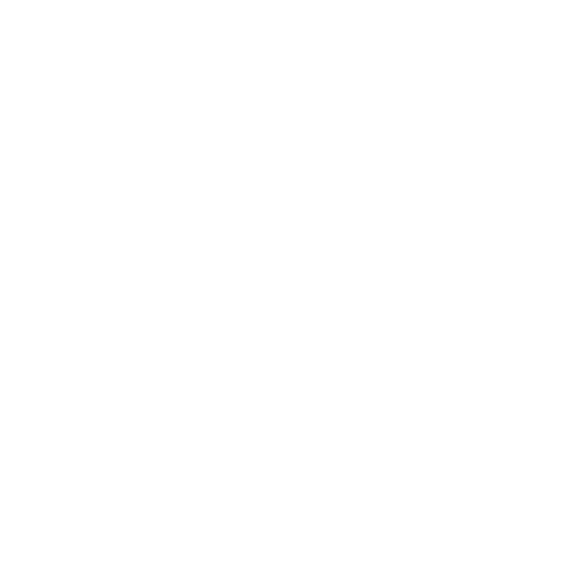 NenLink
