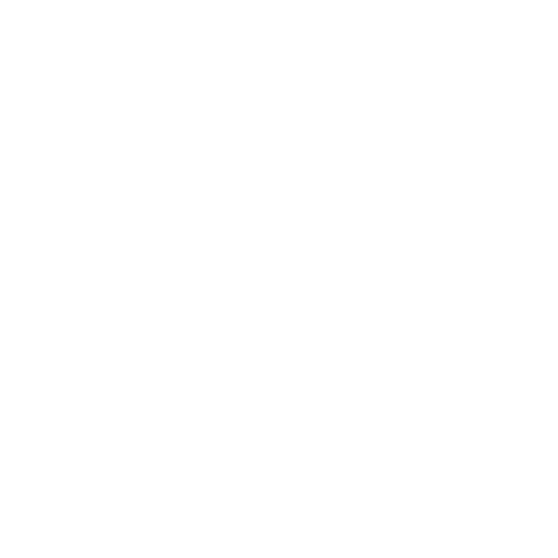 NenLink